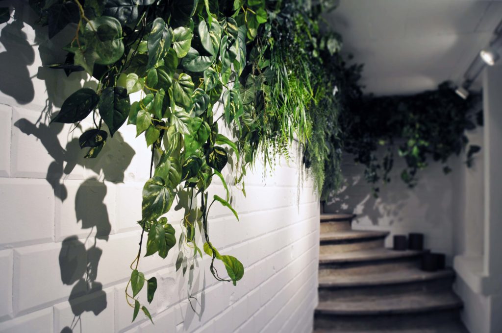 mur avec des plante tombante artificiel et stabilisé