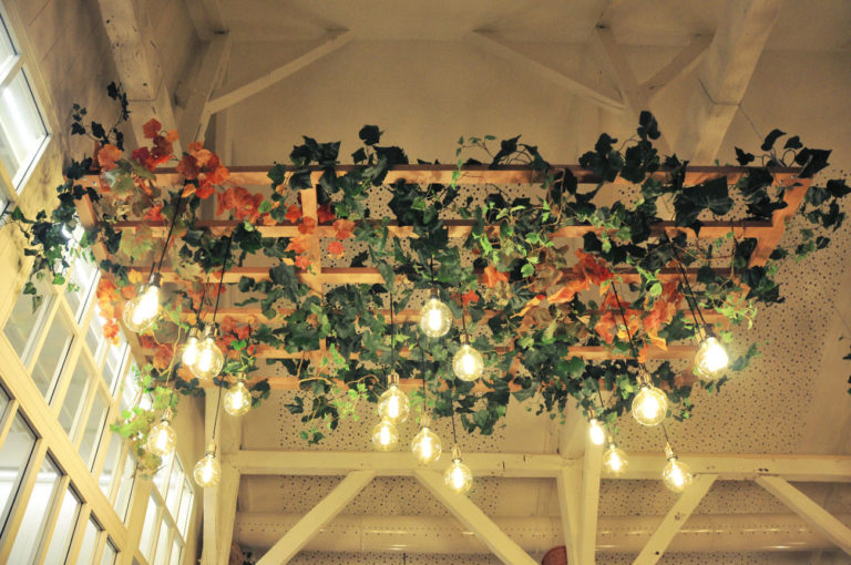plafond végétal en structure bois