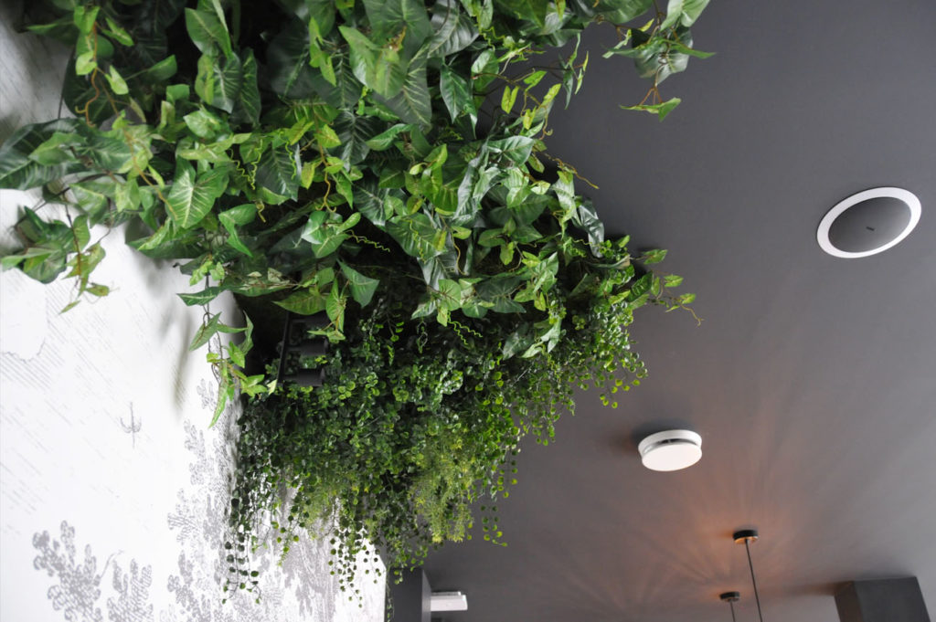 Plafond végétalisé pour spa