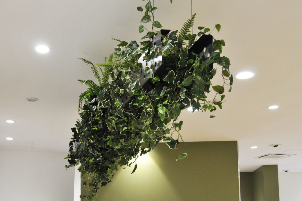 Plantes artificielles au plafond