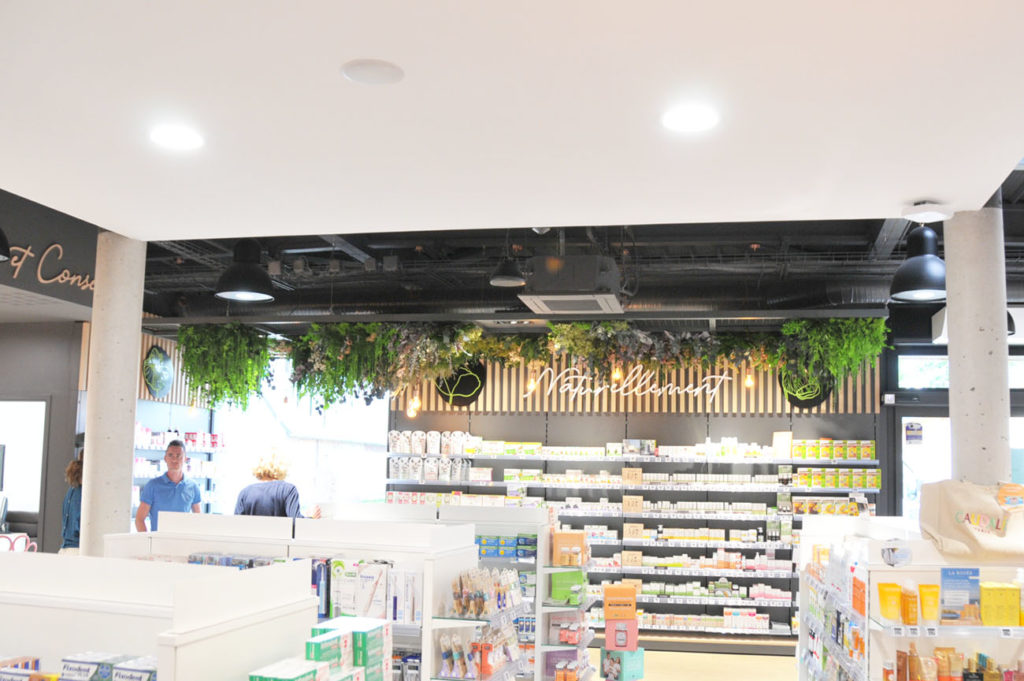 Structure métallique en plafond avec retombées végétales