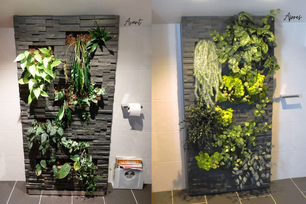 Salle de bain avec mur végétal original