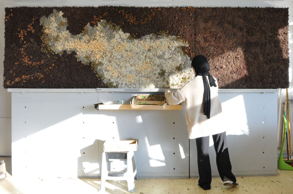 Mur de lichen en cours de réalisation