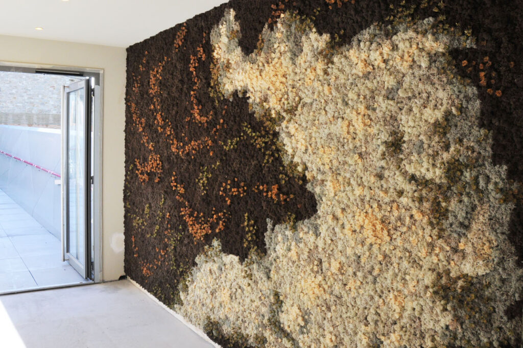 Mur végétal avec fleurs et lichen